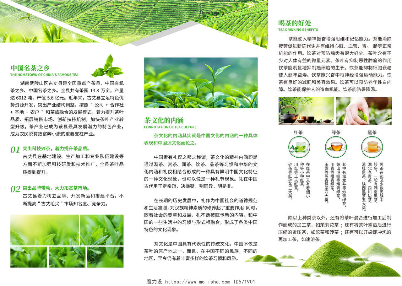 绿色中国风简约茶折页茶文化宣传三折页茶叶